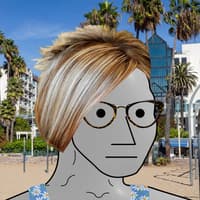 NPC meme 2