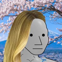 NPC meme 6